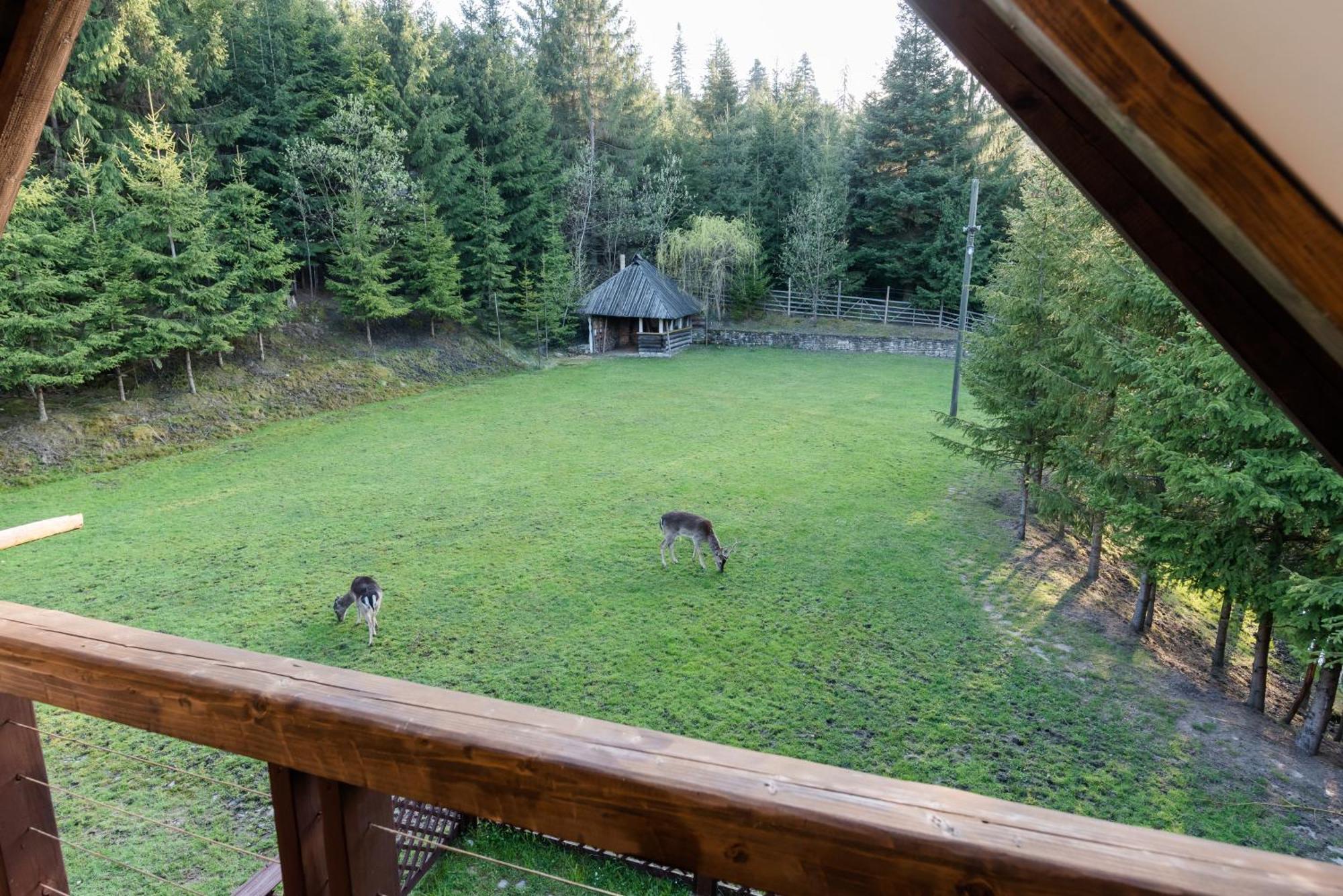 Pensiunea Casa Bunicilor Mînăstirea Humorului Exterior foto
