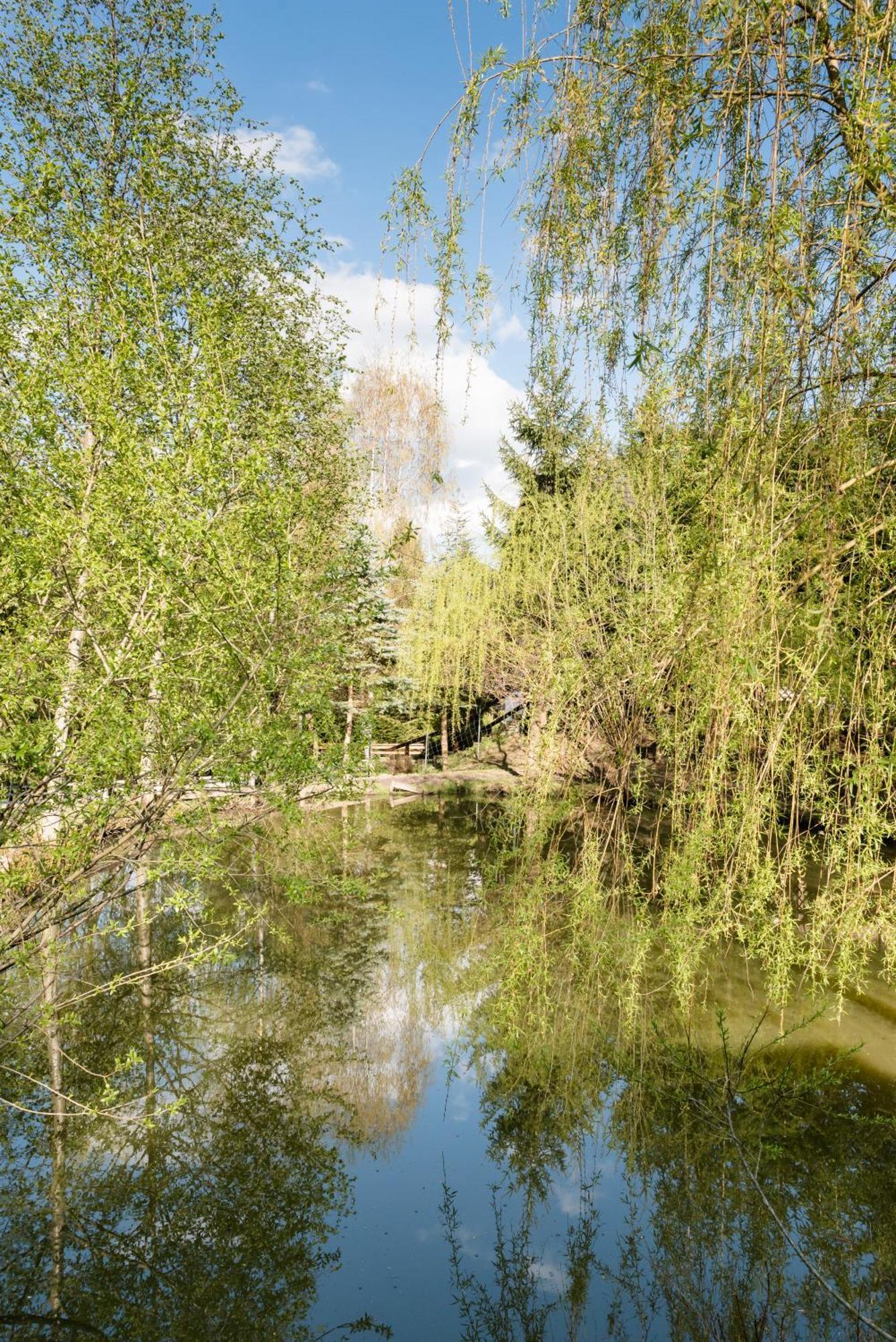Pensiunea Casa Bunicilor Mînăstirea Humorului Exterior foto